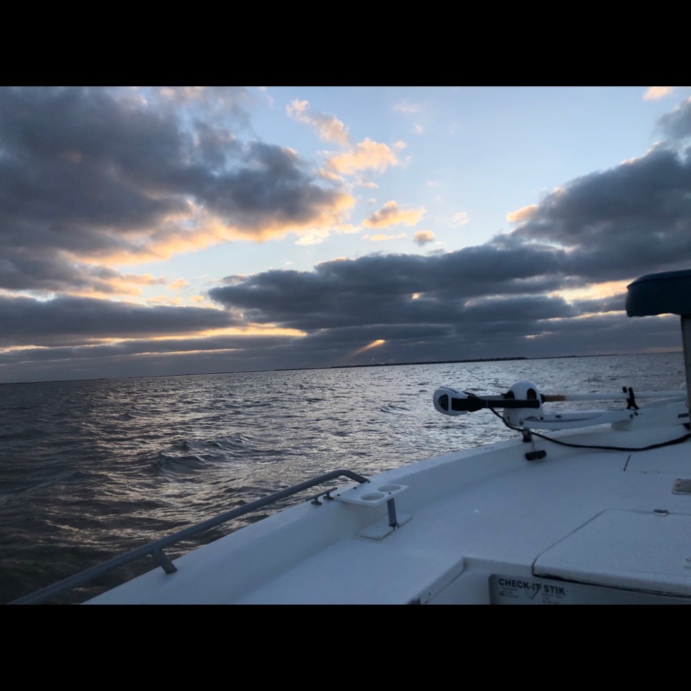 Meet your Posher, Clarissa